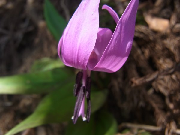 RIMG0863a