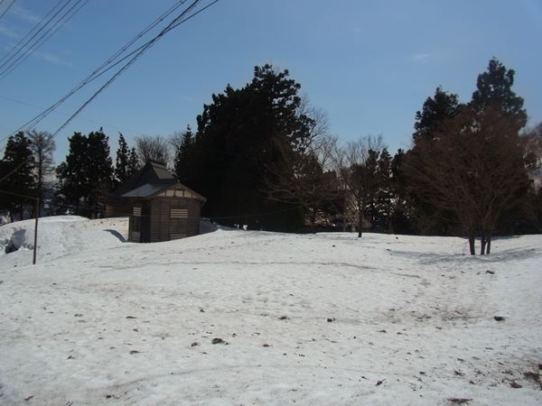 RIMG0871b