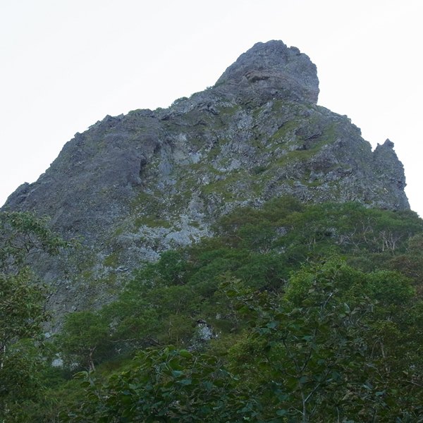RIMG0872