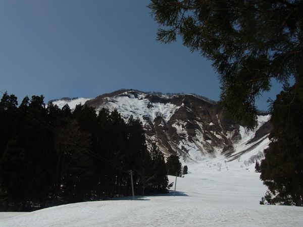 RIMG0874b