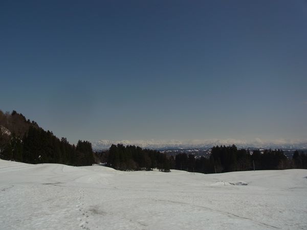 RIMG0876b