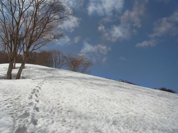 RIMG0877b