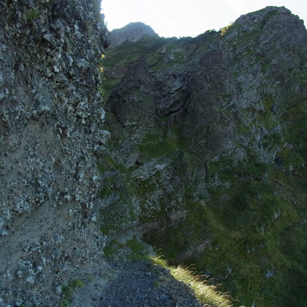 RIMG0881