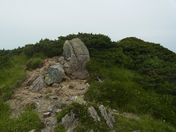RIMG0912a