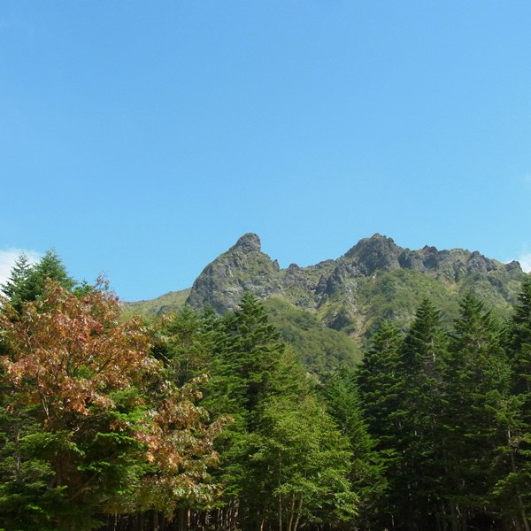 RIMG0913