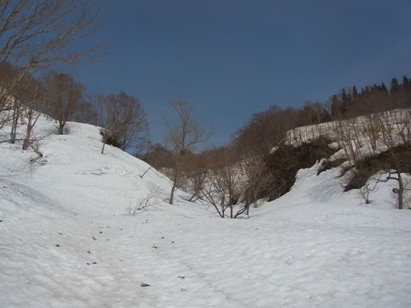 RIMG0913b