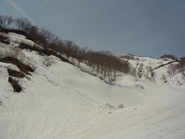 RIMG0915b