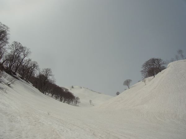 RIMG0917b