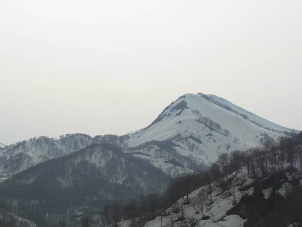 RIMG0931b