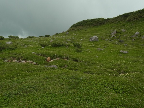 RIMG0938a
