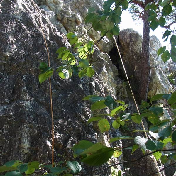 RIMG0944