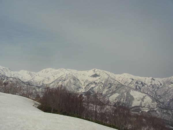 RIMG0956b