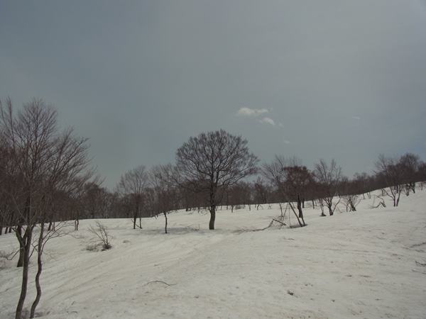 RIMG0957b