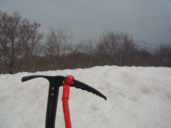 RIMG0960b