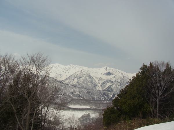 RIMG0962b