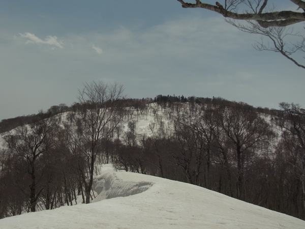 RIMG0967b