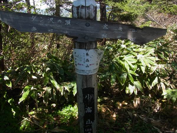 RIMG1647b