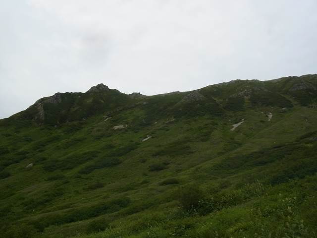 RIMG2336b