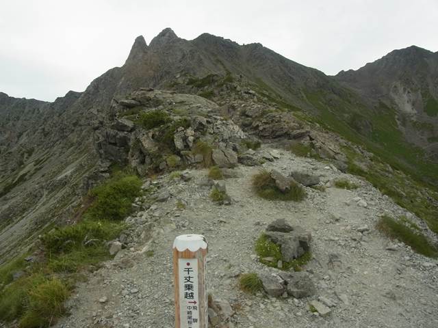 RIMG2354b