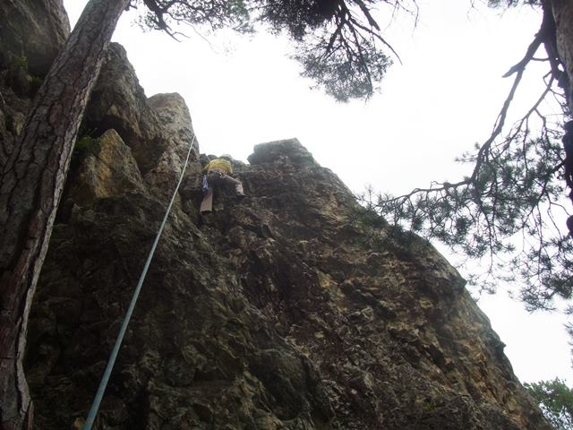 RIMG2446b
