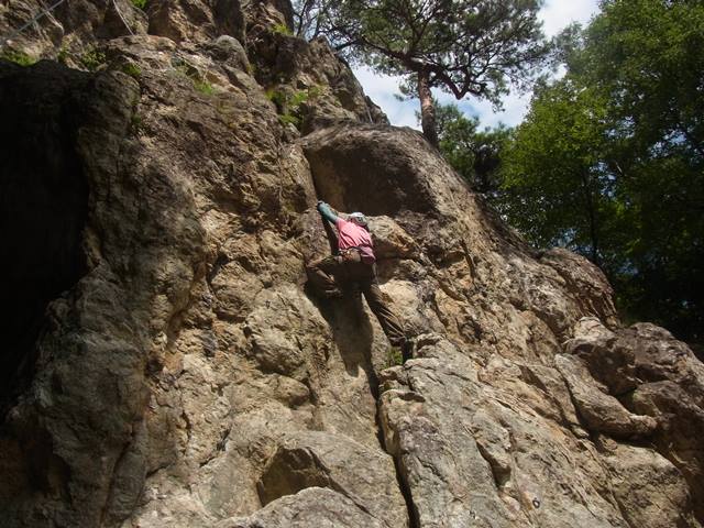 RIMG2450b