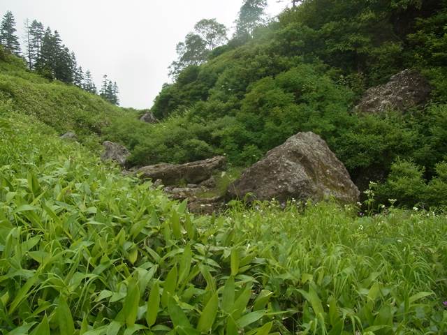 RIMG2469b