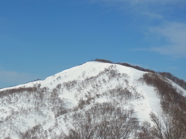 RIMG3558a