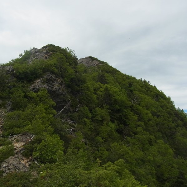 RIMG4697a