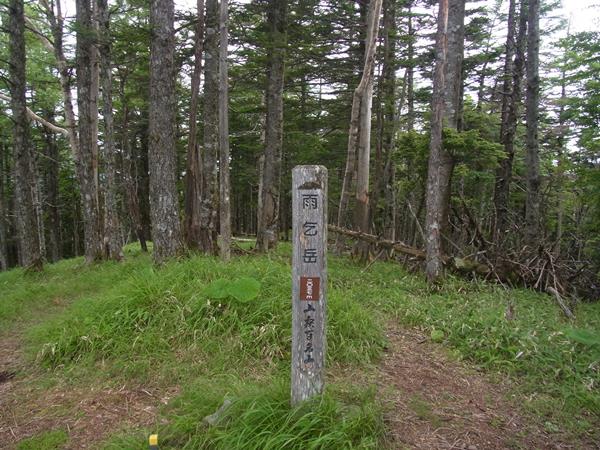 RIMG4734a