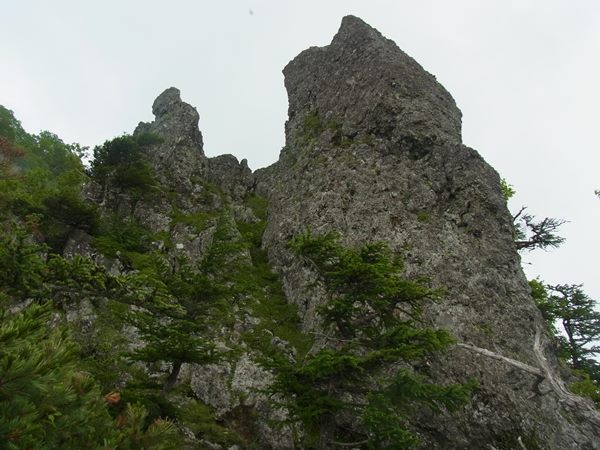 RIMG4773a