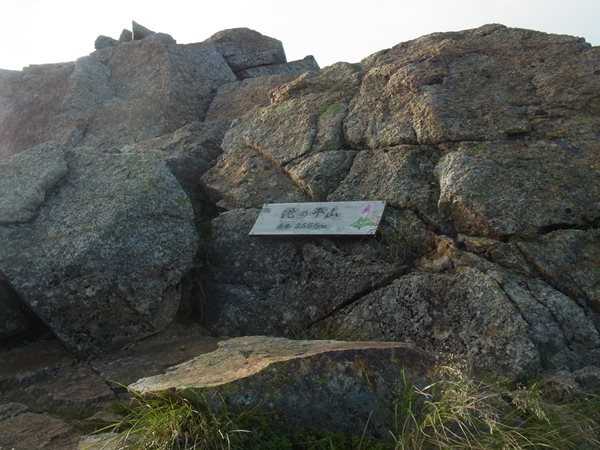 RIMG5228a