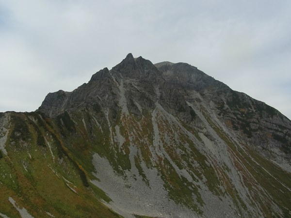 RIMG5546a