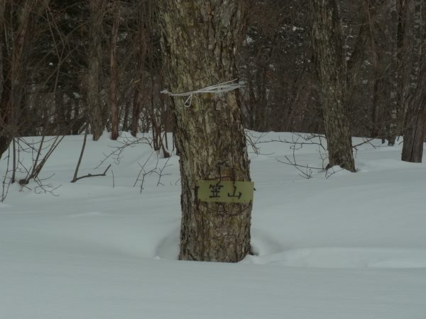 RIMG7176a