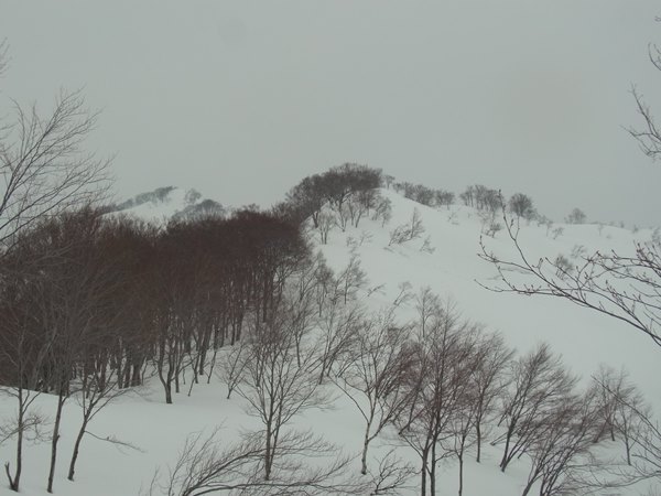 RIMG7265a
