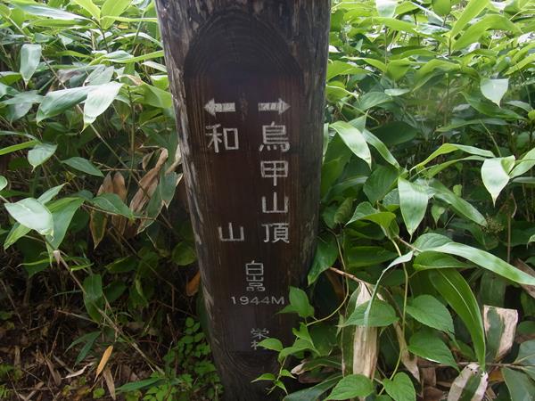 RIMG8726a