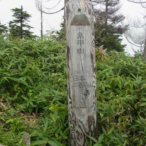RIMG8741a