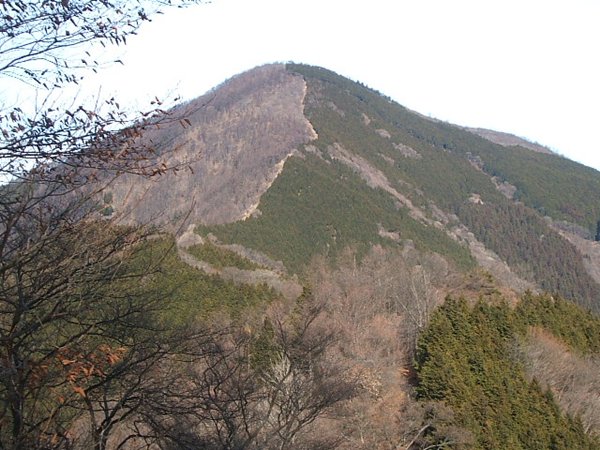 bukou5