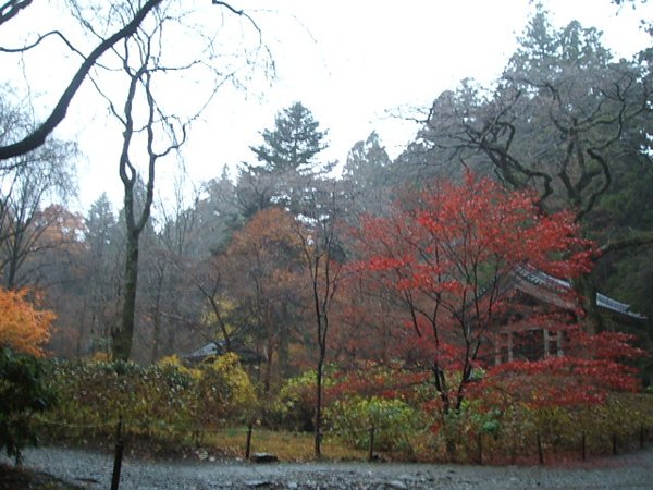 komagane3