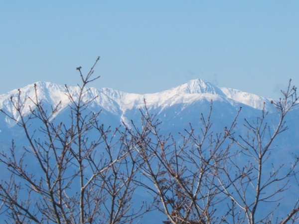 syakagateke2